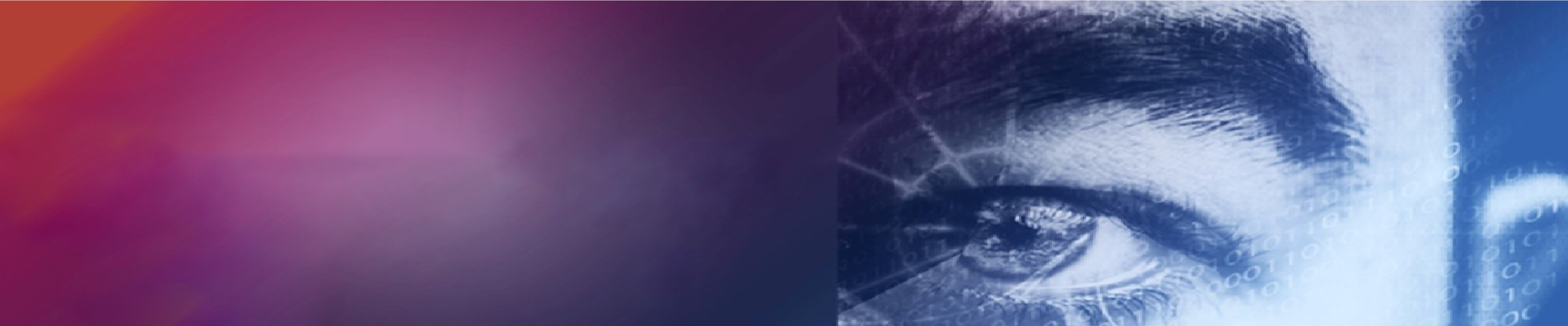 Header Picture